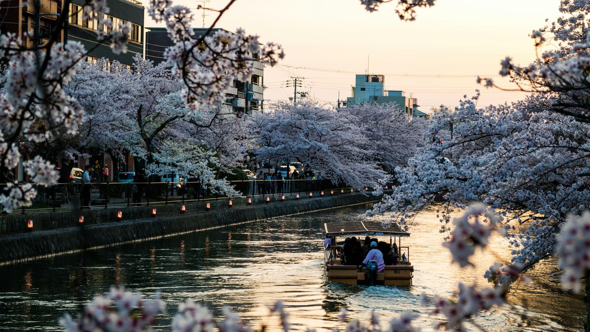 kyoto_3