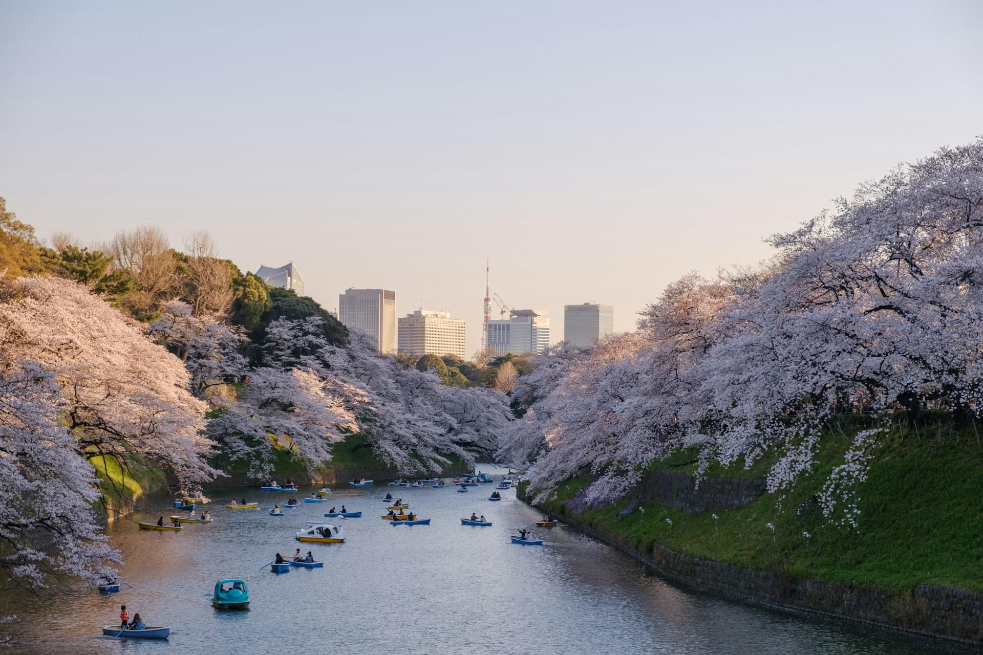 tokio_2