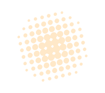 section1__bg-3